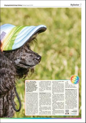 bargslagsbladet-20200803_000_00_00_007.pdf