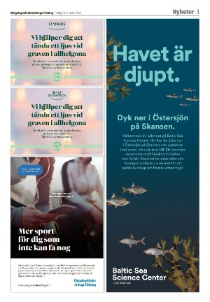 bargslagsbladet-20221028_000_00_00_003.pdf