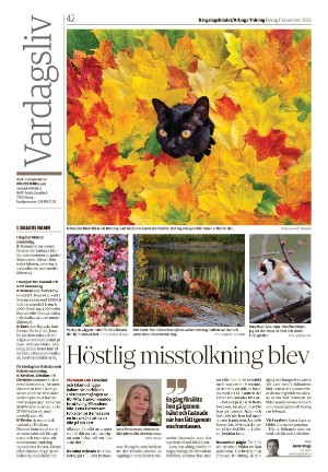 bargslagsbladet-20221111_000_00_00_042.pdf