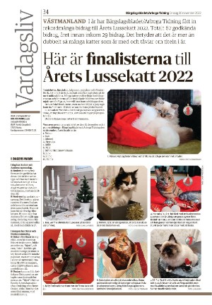 bargslagsbladet-20221130_000_00_00_034.pdf