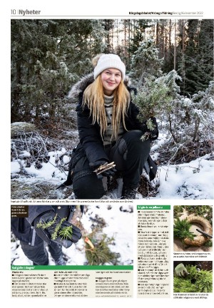 bargslagsbladet-20221216_000_00_00_010.pdf