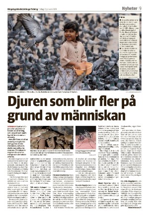 bargslagsbladet-20230120_000_00_00_009.pdf