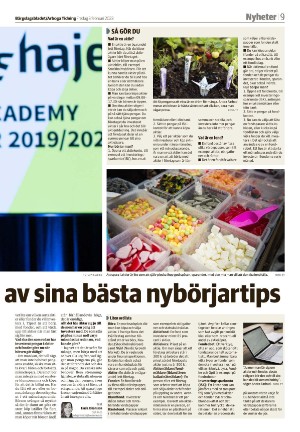 bargslagsbladet-20230203_000_00_00_009.pdf