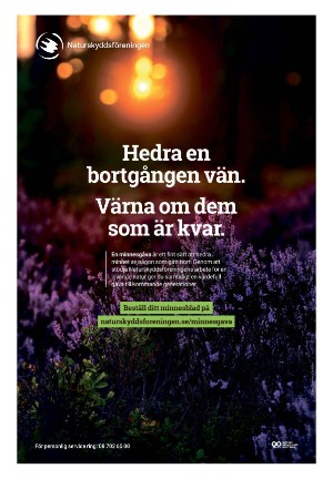 bargslagsbladet-20230619_000_00_00_011.pdf