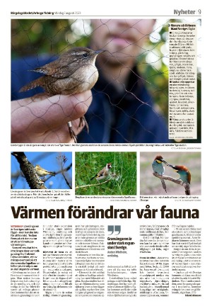 bargslagsbladet-20230807_000_00_00_009.pdf