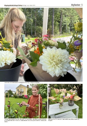 bargslagsbladet-20230904_000_00_00_009.pdf