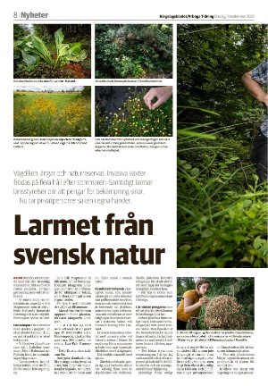 bargslagsbladet-20230913_000_00_00_008.pdf