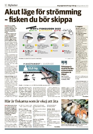 bargslagsbladet-20231004_000_00_00_010.pdf