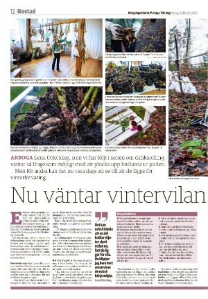 bargslagsbladet-20231013_000_00_00_012.pdf