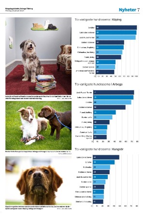 bargslagsbladet-20240129_000_00_00_007.pdf