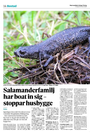 bargslagsbladet-20240223_000_00_00_014.pdf bargslagsbladet-20240223_000_00_00_014.pdf