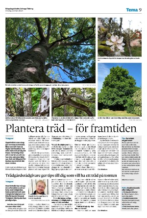 bargslagsbladet-20240313_000_00_00_009.pdf bargslagsbladet-20240313_000_00_00_009.pdf