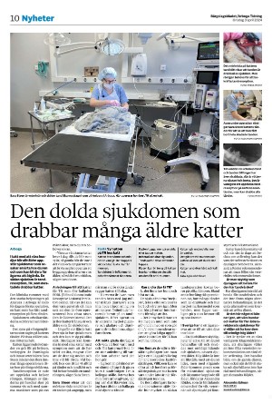 bargslagsbladet-20240403_000_00_00_010.pdf