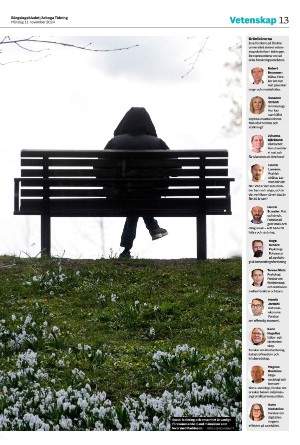 bargslagsbladet-20241111_000_00_00_013.pdf