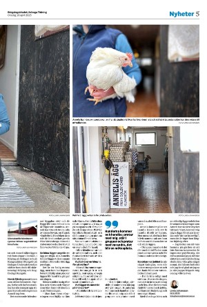 bargslagsbladet-20250416_000_00_00_005.pdf