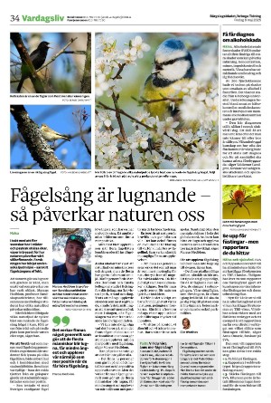 bargslagsbladet-20250509_000_00_00_034.pdf