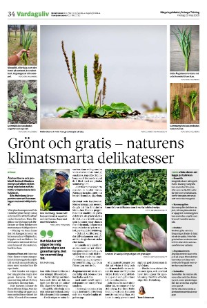 bargslagsbladet-20250523_000_00_00_034.pdf