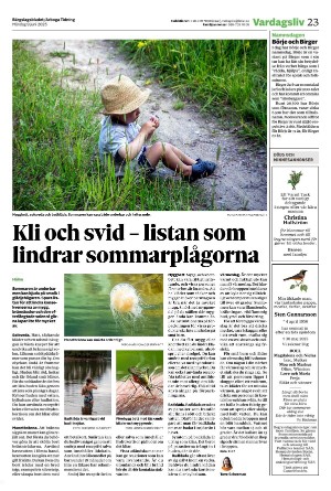 bargslagsbladet-20250609_000_00_00_023.pdf