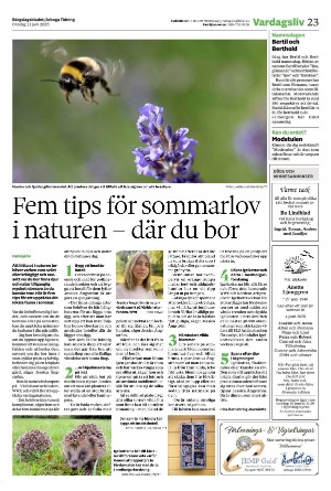 bargslagsbladet-20250611_000_00_00_023.pdf