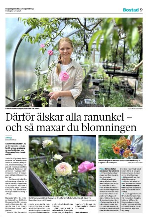 bargslagsbladet-20250613_000_00_00_009.pdf