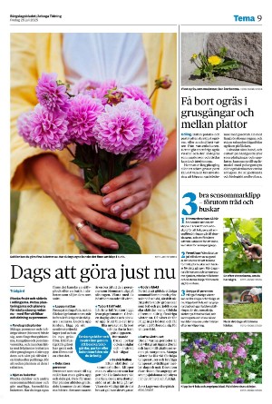 bargslagsbladet-20250725_000_00_00_009.pdf
