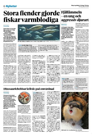 bargslagsbladet-20250728_000_00_00_006.pdf