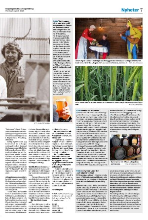 bargslagsbladet-20250804_000_00_00_007.pdf