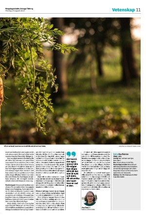 bargslagsbladet-20250825_000_00_00_011.pdf