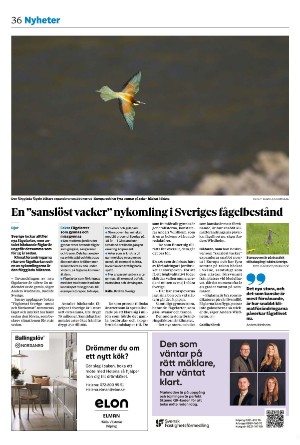 bargslagsbladet-20250912_000_00_00_036.pdf