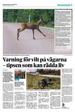 bargslagsbladet-20250929_000_00_00_009.pdf