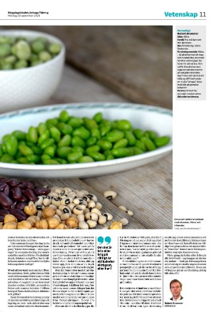 bargslagsbladet-20250929_000_00_00_011.pdf