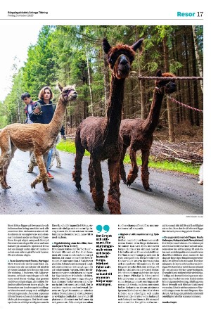bargslagsbladet-20251003_000_00_00_017.pdf