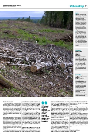 bargslagsbladet-20251020_000_00_00_011.pdf