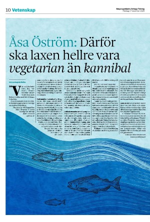 bargslagsbladet-20251117_000_00_00_010.pdf