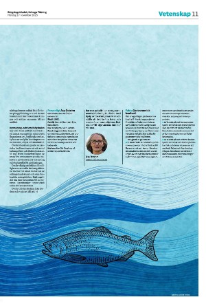 bargslagsbladet-20251117_000_00_00_011.pdf