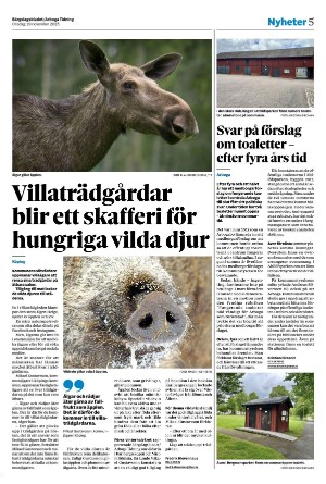 bargslagsbladet-20251119_000_00_00_005.pdf