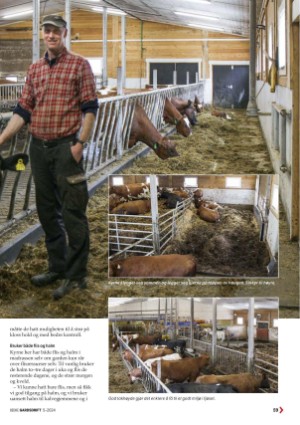bedregardsdrift-20240624_005_00_00_059.pdf
