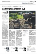 bergenstidende-20100224_000_00_00_003.pdf