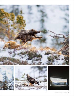 bergenstidende_bilag-20160212_000_00_00_051.pdf