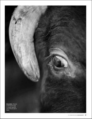 bergenstidende_bilag-20160219_000_00_00_019.pdf