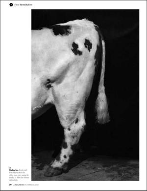 bergenstidende_bilag-20160219_000_00_00_020.pdf