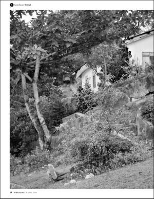 bergenstidende_bilag-20160408_000_00_00_018.pdf