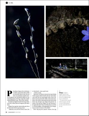 bergenstidende_bilag-20160506_000_00_00_046.pdf