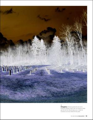 bergenstidende_bilag-20160520_000_00_00_023.pdf