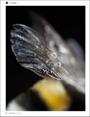 bergenstidende_bilag-20160520_000_00_00_032.pdf