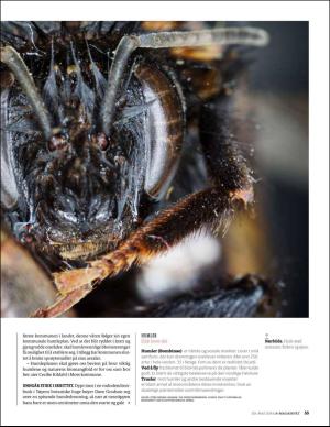 bergenstidende_bilag-20160520_000_00_00_035.pdf