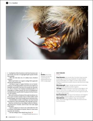 bergenstidende_bilag-20160520_000_00_00_036.pdf