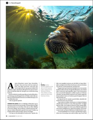 bergenstidende_bilag-20160520_000_00_00_046.pdf