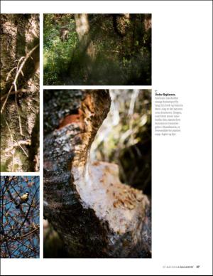 bergenstidende_bilag-20160527_000_00_00_057.pdf