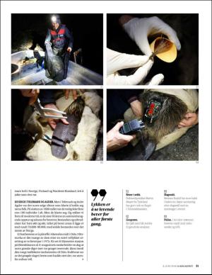 bergenstidende_bilag-20160603_000_00_00_031.pdf